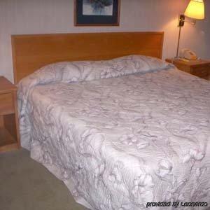Princess Motel Maryville Oda fotoğraf